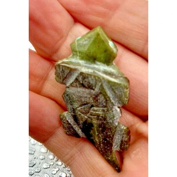 Native American Horned Toad Fetish Hand Crafted & Signed by Vern Phillips